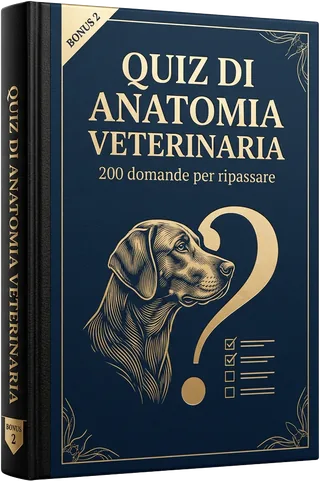 Guida alle Estensioni Vocali e all’Organizzazione delle Sezioni
