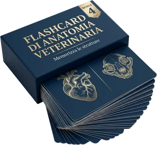 Schede Pratiche di Direzione Corale